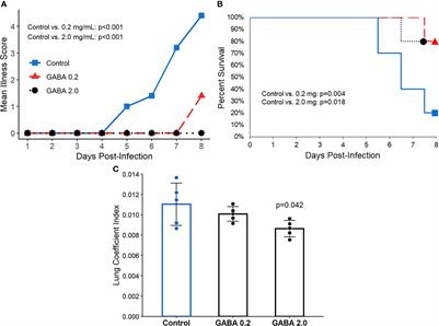 A GABA-receptor agonist reduces pneumonitis severity, viral load, and death rate in SARS-CoV-2-infected mice